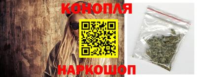 крисы Норильск