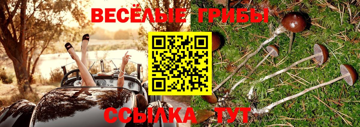 Псилоцибиновые грибы Psilocybe Кумертау